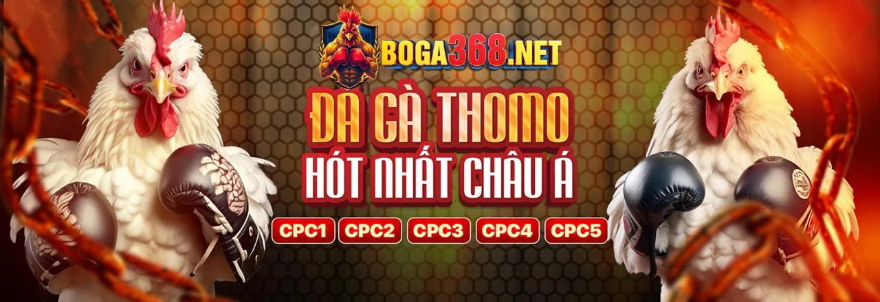 Tổng quan các chương trình khuyến mãi Sodo khuyến mãi 2026